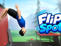 Flip Spot img Flip Spot