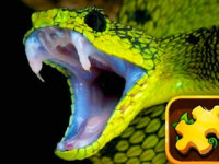 img Snake Puzzle Challenge